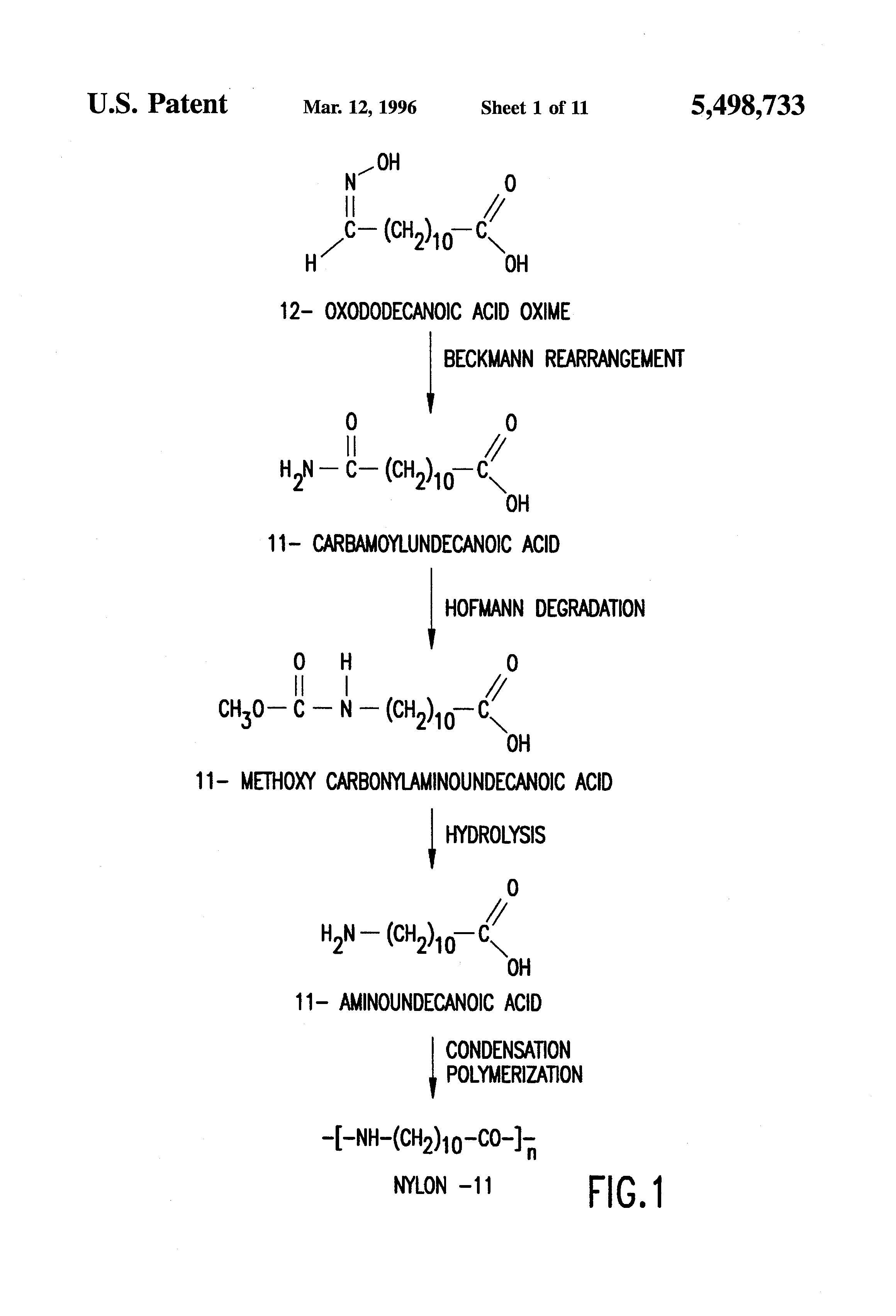 For Nylon Oligomer Degradation 100