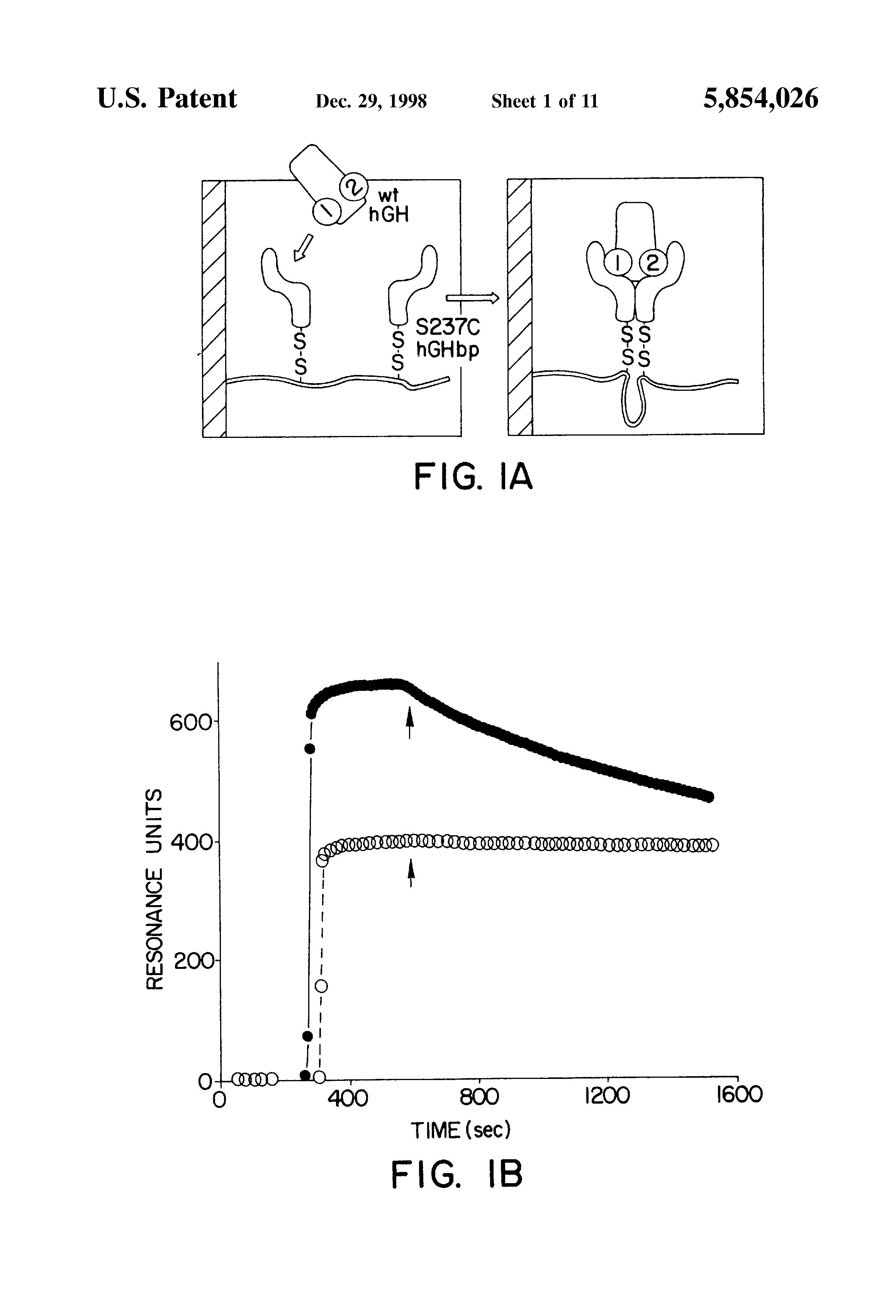 US5854026-3.png