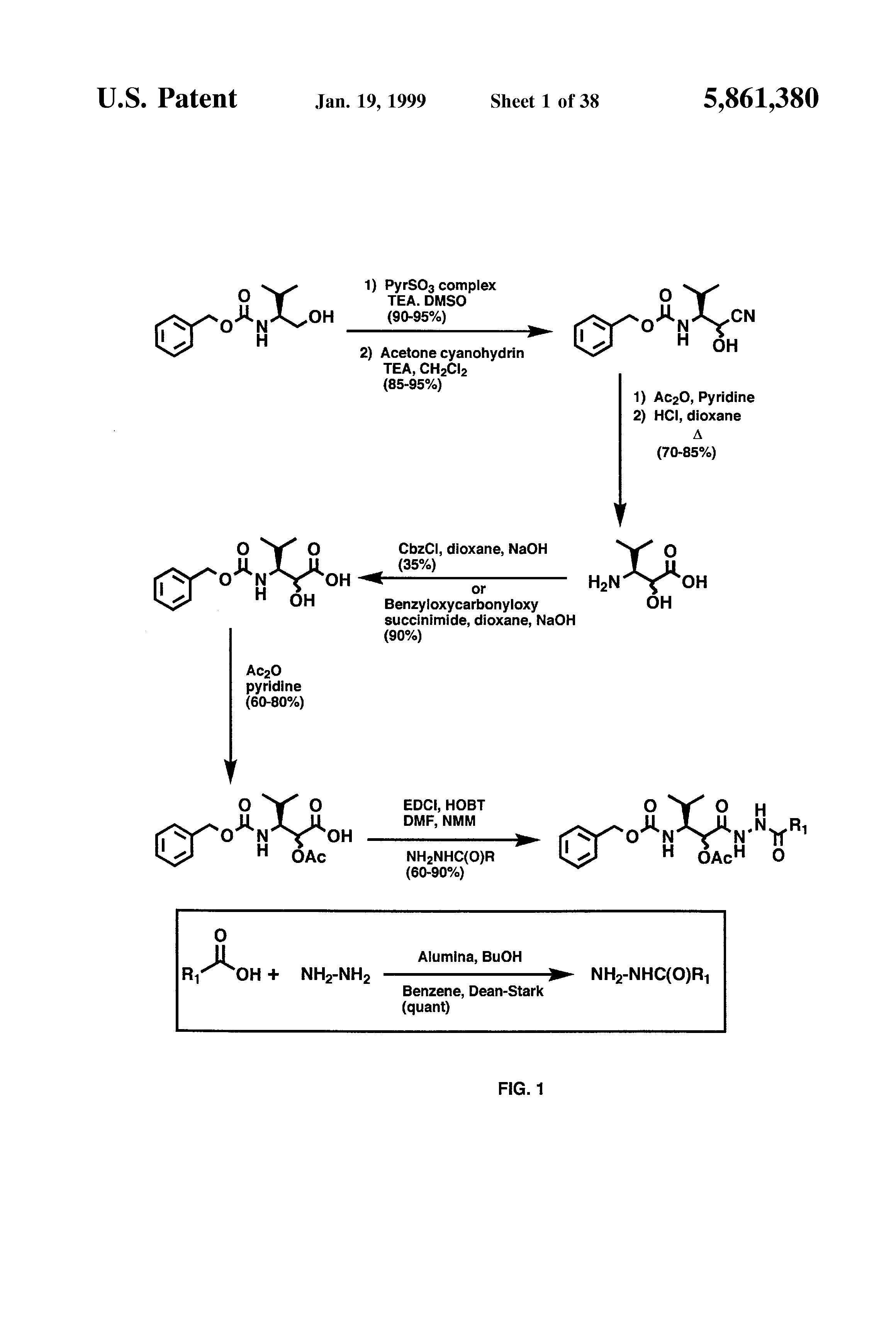 serine protease inhibitors-keto and di-keto containing ring