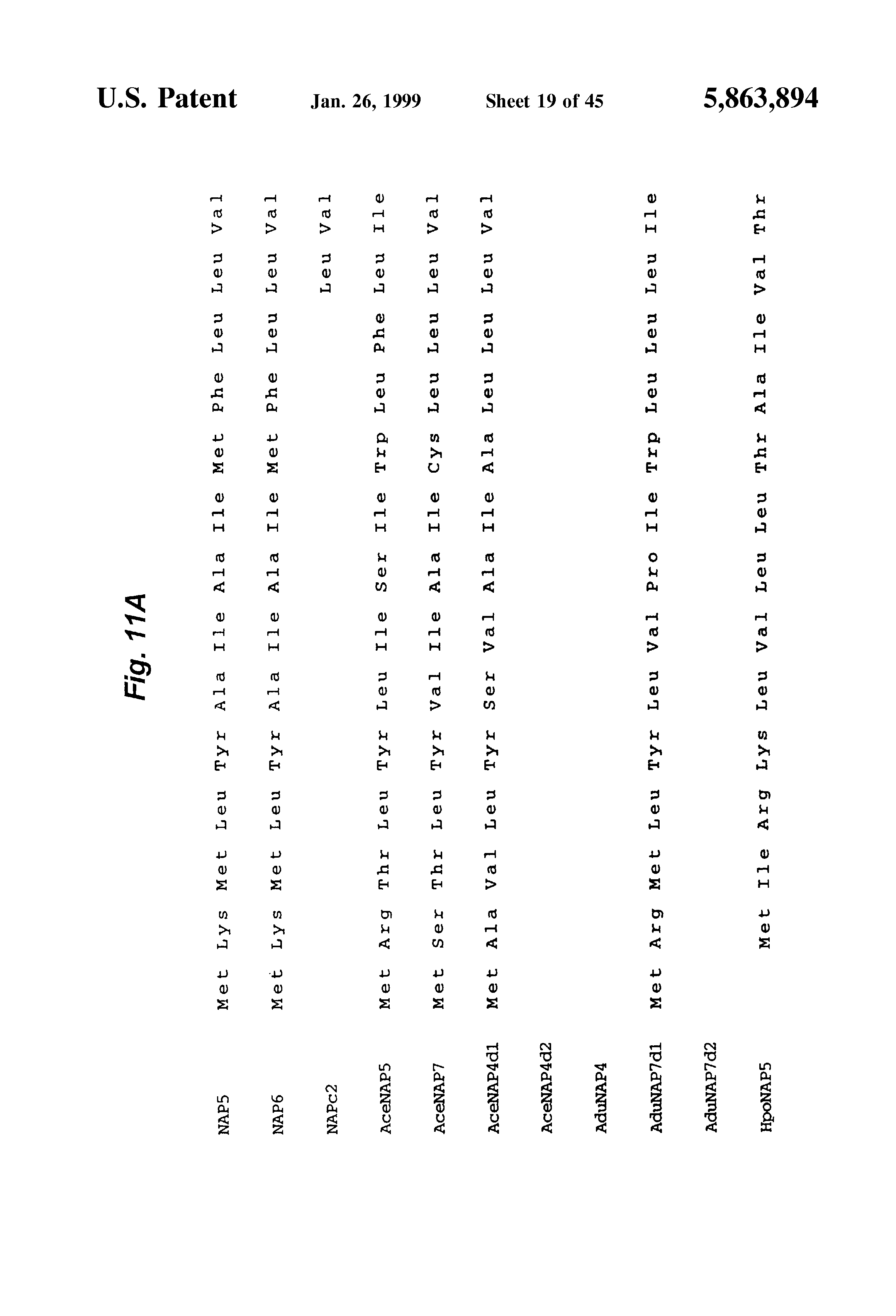 专利us5863894 - nematode-extracted anticoagulant protein