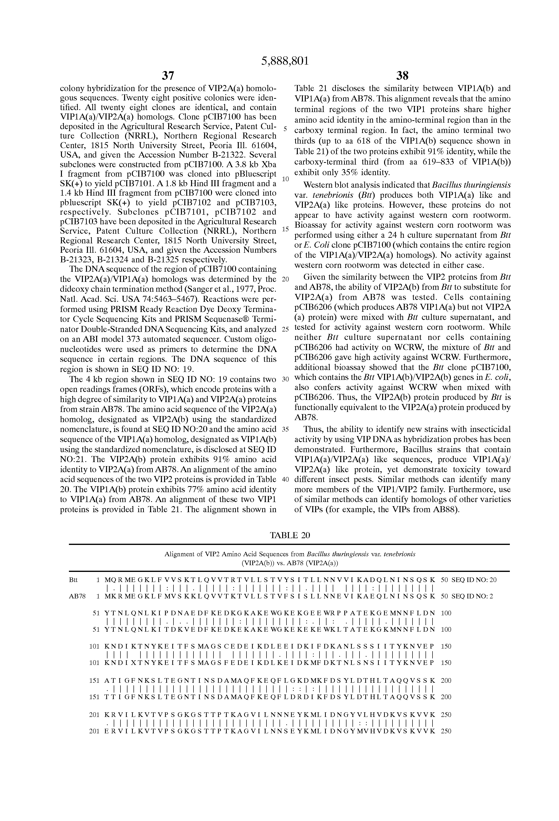 pesticidal strains of bacillus