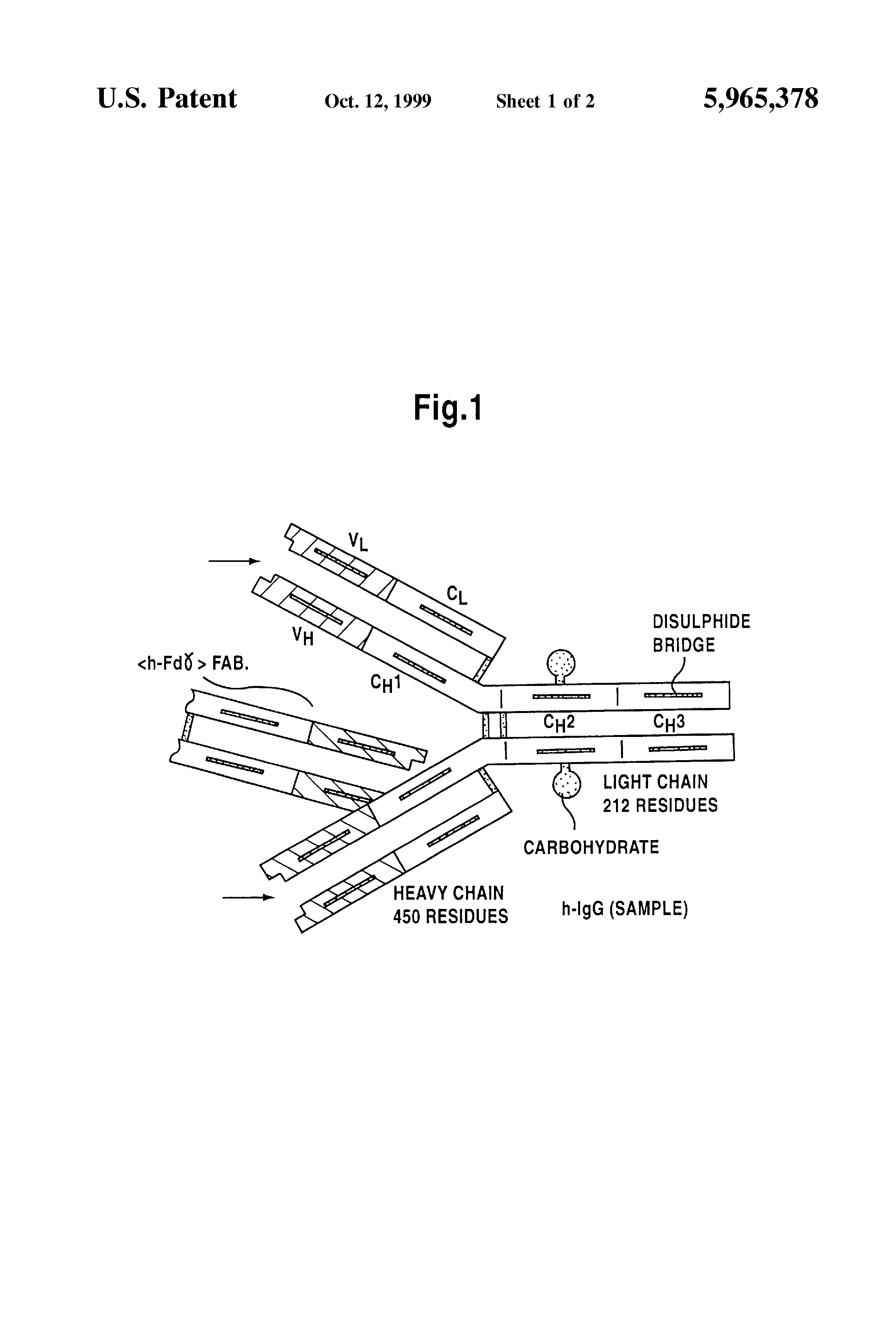 reduce e immunoglobulin to how specific US5965378 class Antibody   Patent interference