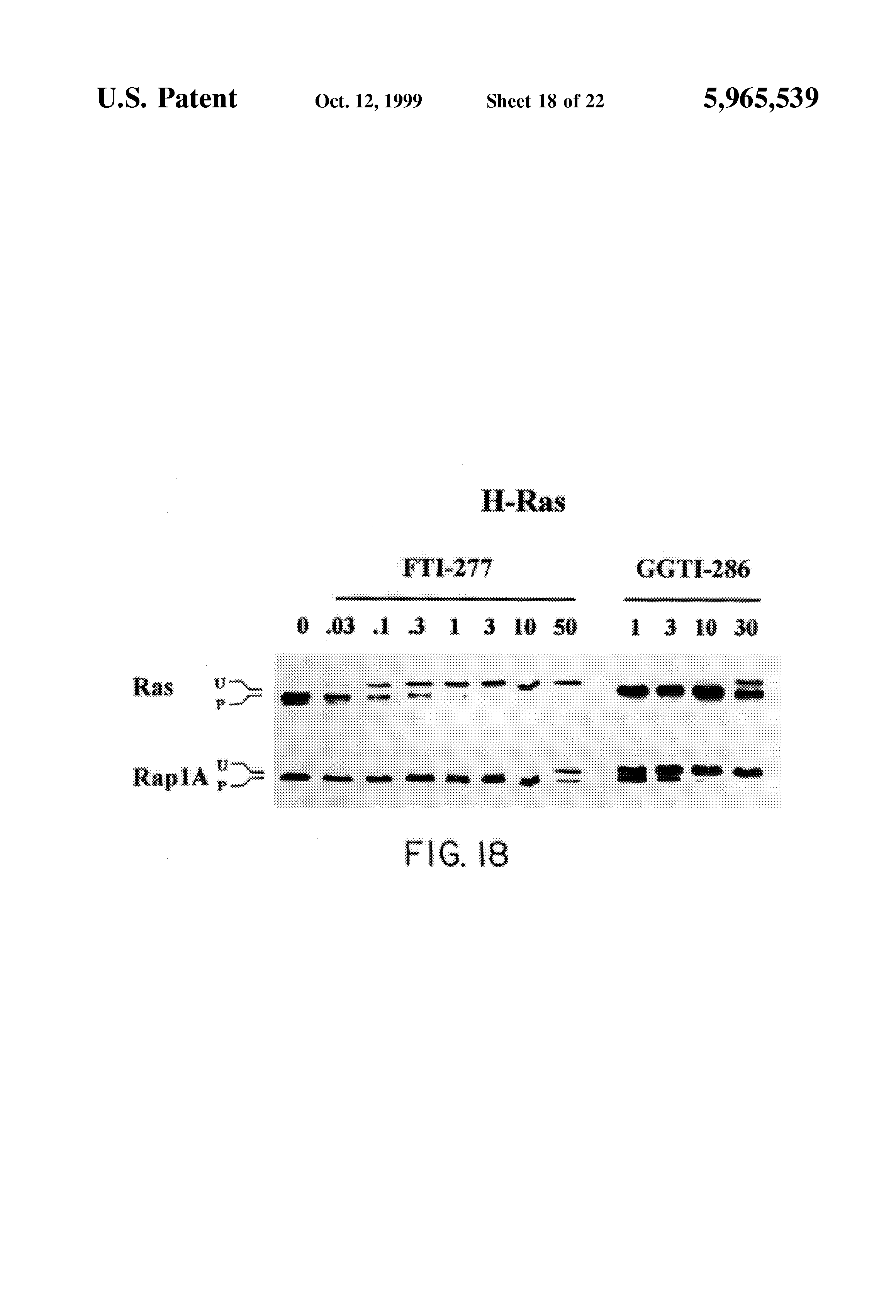 inhibitors of prenyl transferases