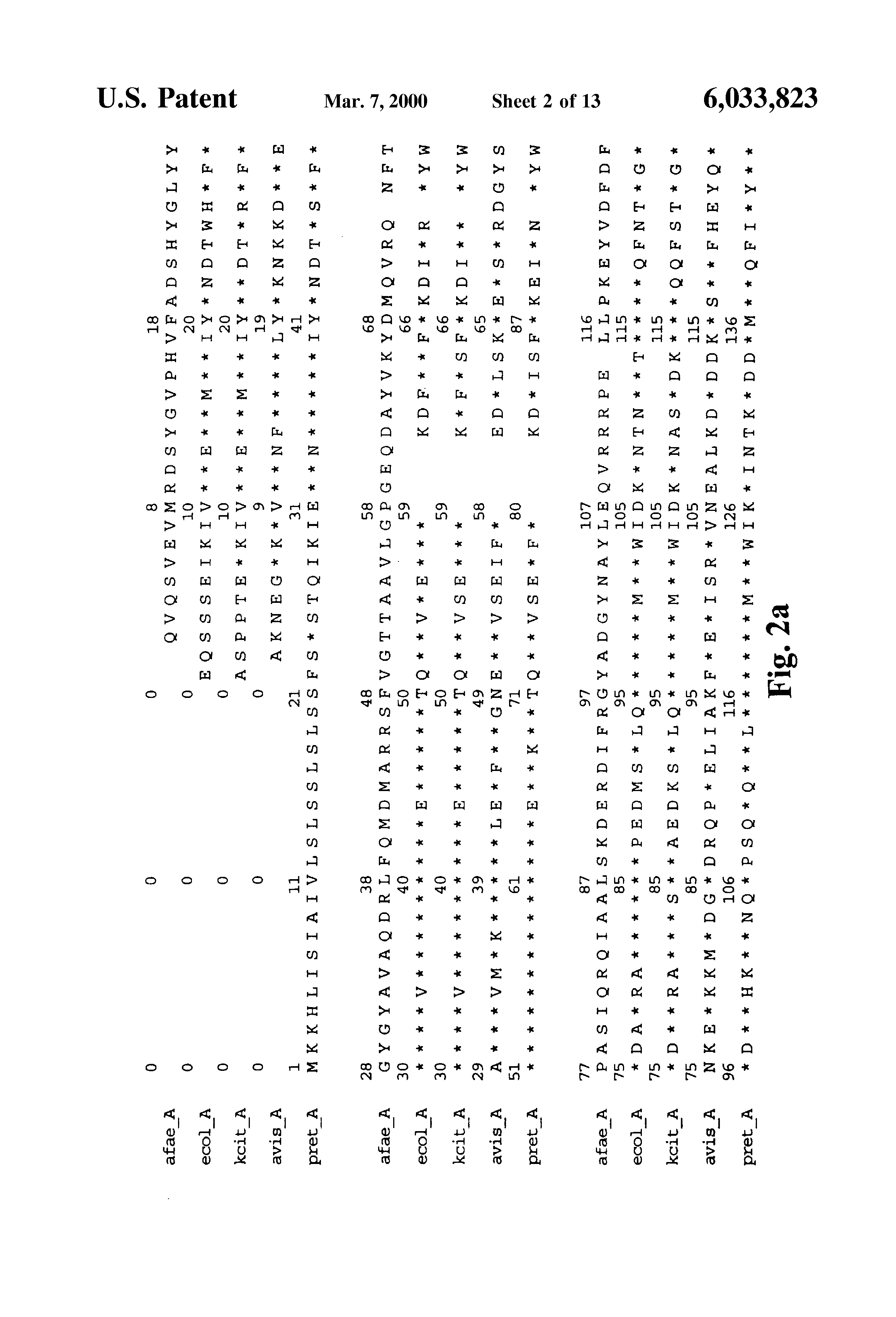 mutated penicillin g acylase genes