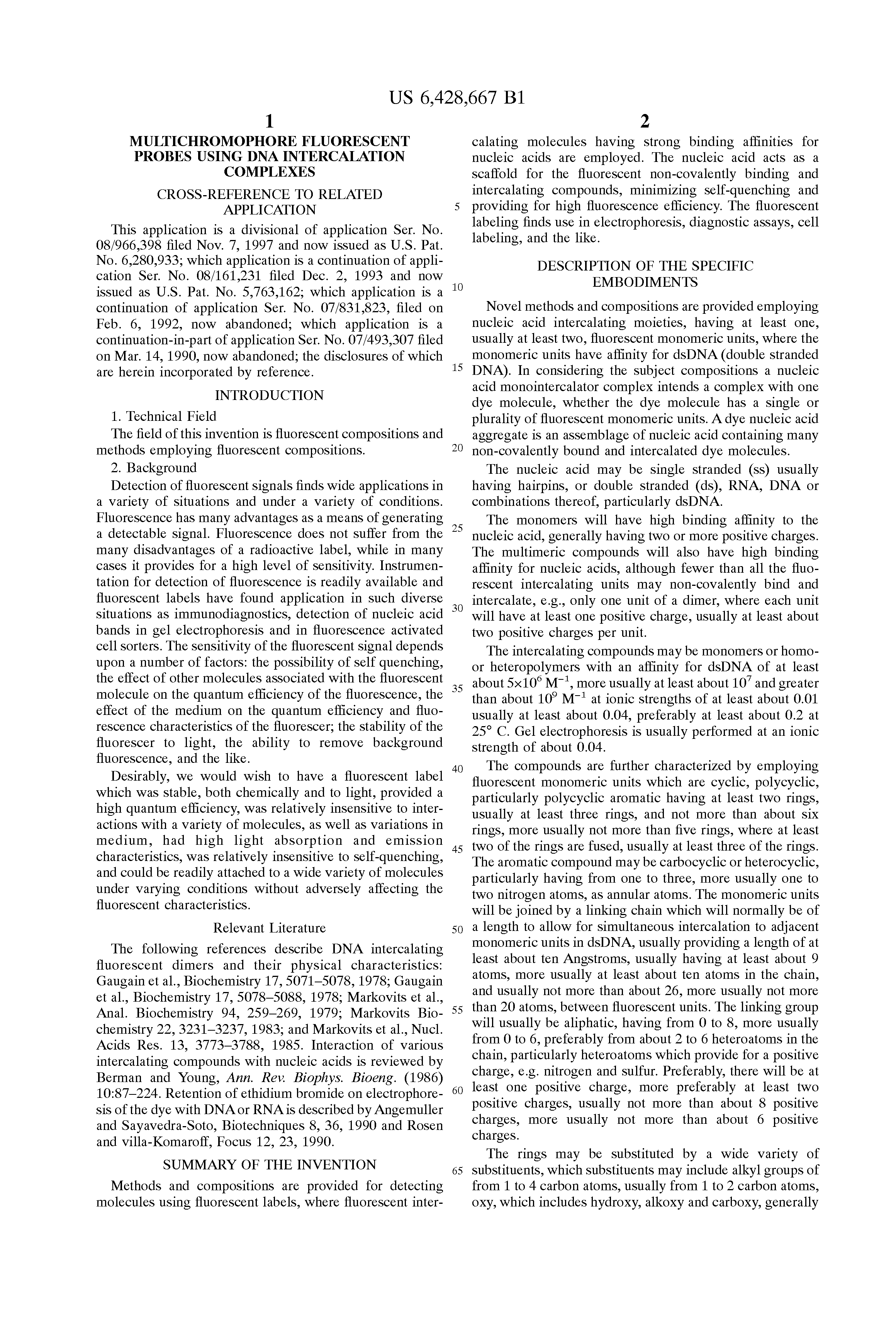 multichromophore fluorescent probes using dna intercalation