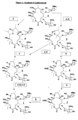 Preparation of non-crystalline and crystalline dihydrate forms of azithromycin