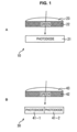 Image sensor, imaging apparatus and live body imaging apparatus