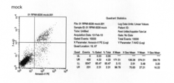 Heptamer-type small guide nucleic acid capable of inducing apoptosis of ...
